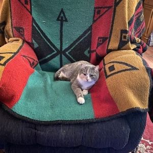 Meet your Posher, Tracey